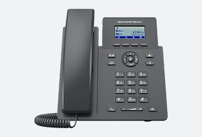 Enterprise IP Phone
